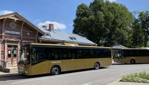 Kuldsed bussid Elvas