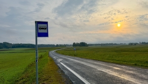 Illustreeriv pilt bussipeatusest