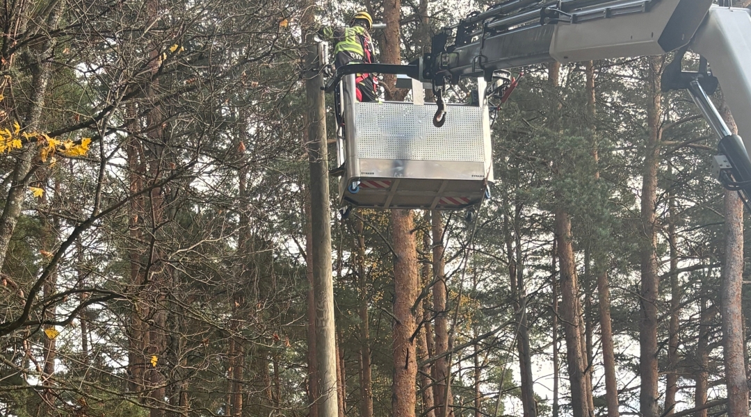 Elva linnastaadioni parkmetsa valgustus